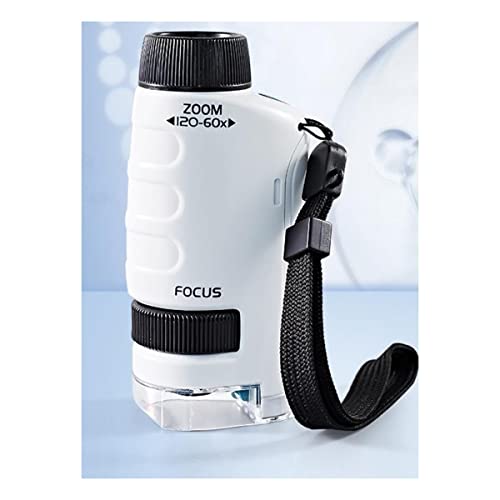 Microscope de poche pour enfants blanc : explorez la nature en famille avec le kit 3 en 1 LED