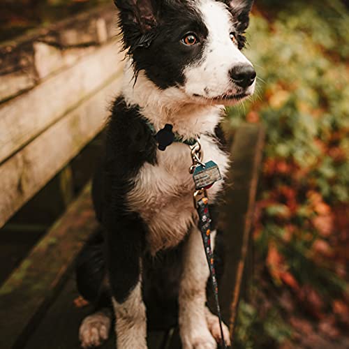 PartyKindom Siliconen hoesje voor AirTags Pet Cover Hondenhalsband Compatibel voor AirTags (zwart) - Image 5