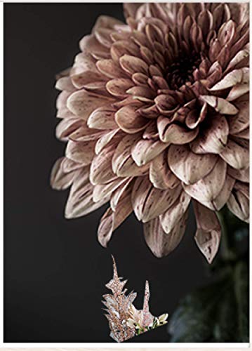 Affiche dahlia rose 40x60 cm pour une décoration murale fleurie moderne et élégante