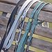 TRIXIE Hundeleine CityStyle M-L, 2,00 m/20 mm Salbei – Hochwertige PVC-Leine für Hunde, 3-Fach verstellbar – rutschfest, wasserabweisend & abwaschbar, 1971319