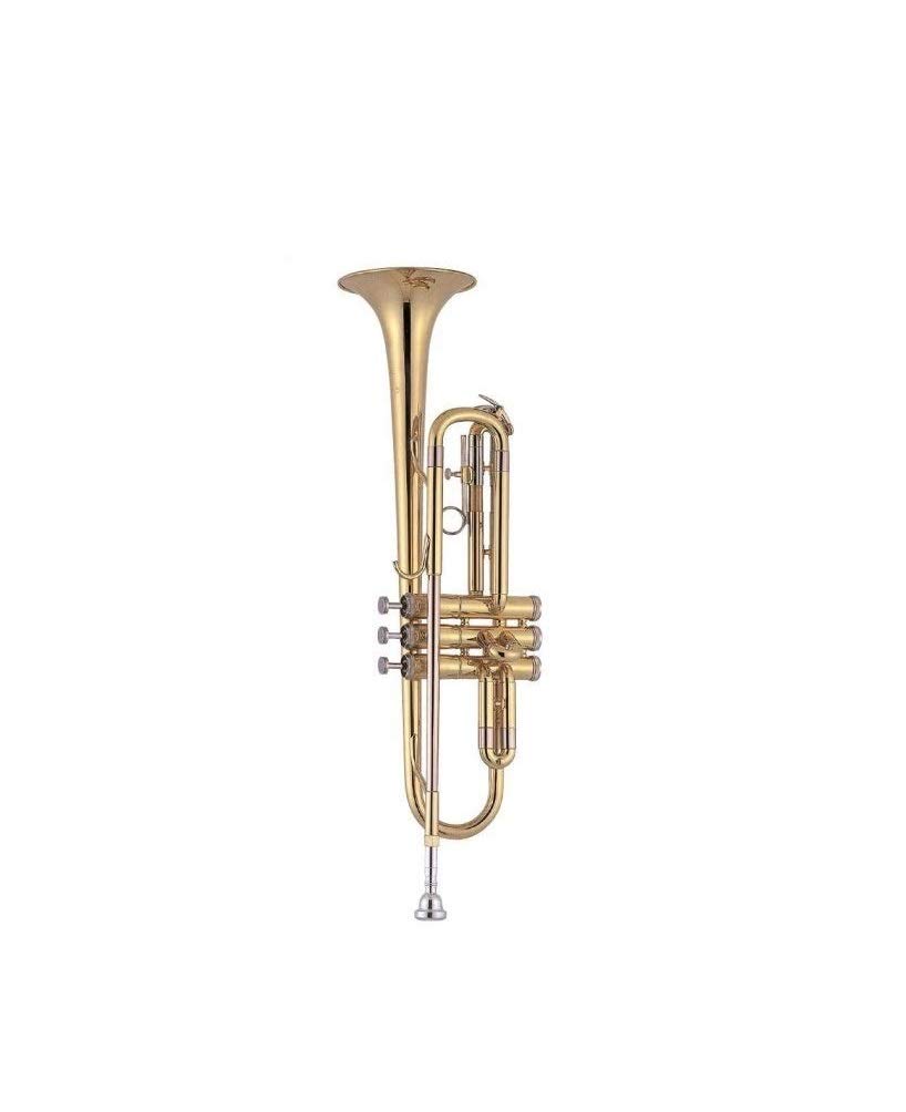 J. Michael TR200 - Trompeta en SI bemol, lacada