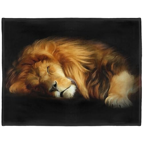 YISUMEI Decke Schlafender Löwe Kuscheldecken Weich Flanell Fleecedecke Bettüberwurf(150x200cm)