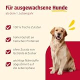 animonda GranCarno Adult Hundefutter Rind+Entenherzen (6x800g)