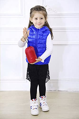 Image of AIWUHE Baby Boys Girls Hooded Puffer Vest Winter Lightweight Sleeveless Bear Ears Zipper Up Jacket Down Vest Coat Vests Kids