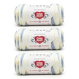 Red Heart All in ONE Flower Power Forget me not Yarn - 3 Pack of 8.8oz/250g - 100% Acrylic - #4 Worsted (Medium) - 440 Yards - Knitting/Crochet