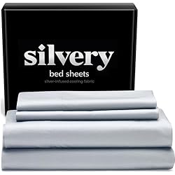Silvery Silver Infused Bed Sheets Set Model 2 (Gray, Queen)