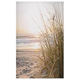 TropicalLife Strandküste Küchentücher 45 x 72 cm, Strandküche Geschirrtuch 4 Stück Saugfähig Wiederverwendbar Küchentuch Geschirrtücher für Zuhause Catering Bar