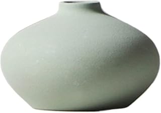 ANACRO Bonsai Pots Flower Pot Home Decoration Room Decoration Accessories (Color : F)