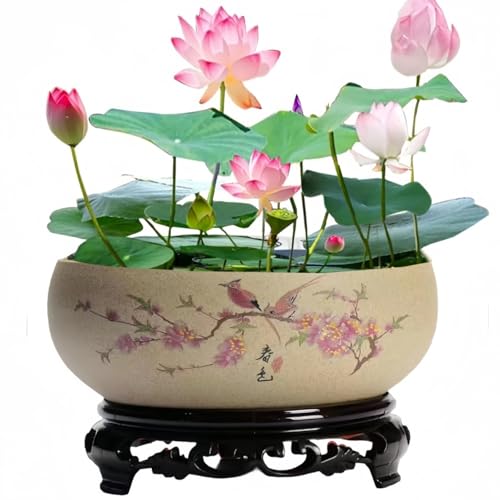 aunosit Lotus Bowl Planter with Stand Ceramic Lotus Flower Bowl Lotus Bowls for Planting in Water Indoors Water Lily Pot for Lotus Seeds Bonsai Succulents Hydroponic Plants