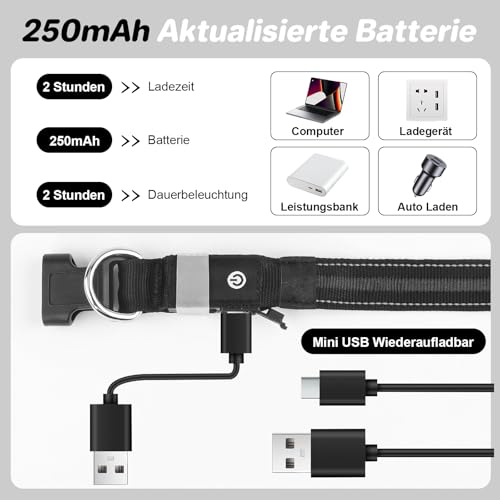 Feycig Leuchthalsband Hund Halsband Aufladbar - LED Hundehalsband Leuchtend USB Wasserdicht Einstellbare, 3 Modi, Leuchthalsband für Kleine Mittlere Große Hunde (Schwarz, M(38-50cm/15-19.7inch))