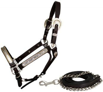 Showman Engraved Silver Show Halter & Lead with Gold Beaded Accent