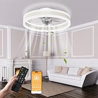 Nalezuns Deckenleuchte mit Ventilator, Deckenventilator mit Beleuchtung,3 Farbtemperatur, 6 Geschwindigkeiten Deckenventilator mit Lampe,Fernbedienung Leise Dimmbar Ventilator Deckenlampe,40cm