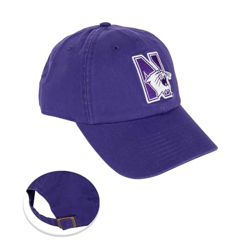 Desert Cactus Northwestern University Baseball Hat NU Wildcats Brimmed Embroidered Hats Cap Adjustable Cloth Strap Adult (Style E) Purple