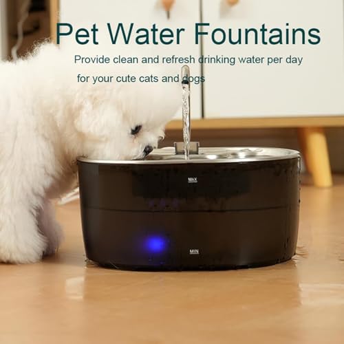 Fuente Automática para Gatos con Boquillas de Acero miniatura 4