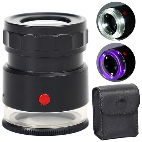 LEDCgt XP[[y 10{ \XP[ 0.5mmp`XP[ UVCgi   {[y ؎W UDӒ