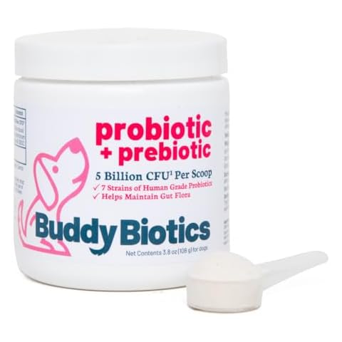 Buddy Biotics Probiotic + Prebiotic for Dogs- Gut Flora Health, Digestive and Immune Health, Diarrhea and Bowel Support – 5 Billion CFU per Scoop Cover