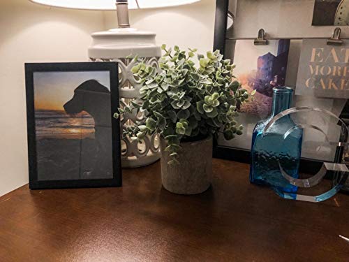 Winlyn Mini Potted Plants Artificial Eucalyptus Boxwood Rosemary Greenery In Pots Faux Potted Herbs Small Houseplants 8.3"-9" Tall For Indoor Greenery Tabletop Décor Centerpiece 3 Pack #TOP3