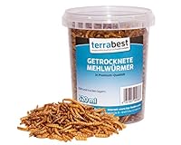 Terrabest 520ml getrocknete Mehlwürmer Premium Qualität Reptilienfutter, Fischfutter, Igelfutter, Nagerfutter, Vogelfutter, Wildvogelfutter