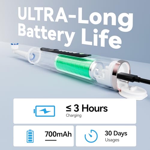Image of SEAGO Rotating Electric Toothbrush for Adults - 8 Replacement Heads (4 Soft /4 Hard), IPX7 Waterproof, 5 Modes with Memory Function, 2-Minute Timer, USB Type-C Rechargeable (SG-2607-Pink
