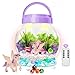 Light-Up Unicorn Terrarium Kit for Kids, Unicorns Gifts for Girls, DIY Unicorn Toys Crafts Kits for Girl Age 4 5 6 7 8-12 Year Old Birthday Gifts
