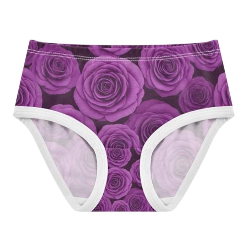 Panties for Girls, Purple Roses Toddler Briefs, Cotton Underwear for Girls, 2T–8 Years - Main Image