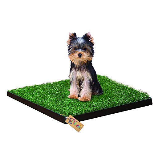 Western Era Dog Cat Pet Potty Trainer Grass Mat Dog Puppy Training Pee