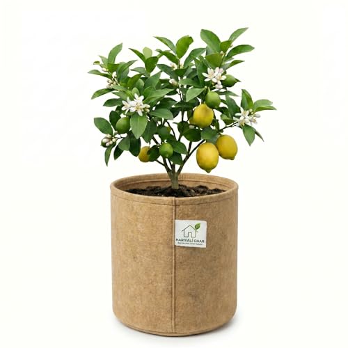 Image of 400 GSM Geo Fabric Round Grow Bags 18x18 Inch, Camel Color Planting Bags for Terrace and Kitchen Gardening Pack of 1