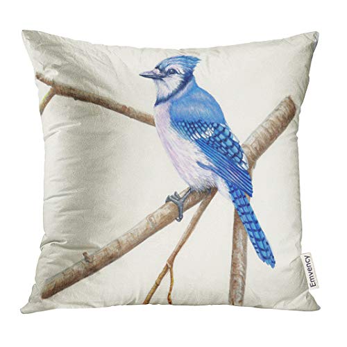 Blue Jay Gifts Kritters in the Mailbox Blue Jay Collectibles