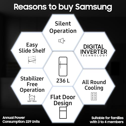 Image of Samsung 236 L, 2 Star, Digital Inverter, Frost Free Double Door Refrigerator (RT40H28W2QHL, Gray Silver, 2026 Model)