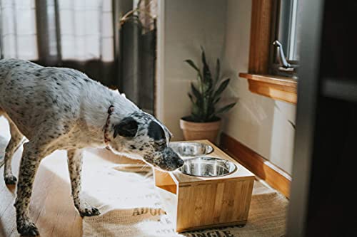 Pawfect Pets Elevated Dog Bowl Stand- 7" Raised Dog Bowl for Medium Dogs. Pet Feeder with Four Stainless Steel Bowls. - Image 7