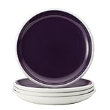 Rachael Ray Dinnerware Rise 4-Piece Stoneware Dinner Plate Set, Purple