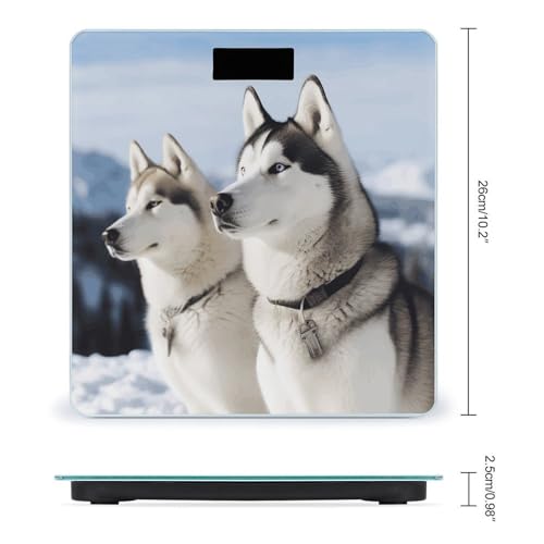 Báscula Digital para Baño Husky Dogs de Vidrio Templado miniatura 2
