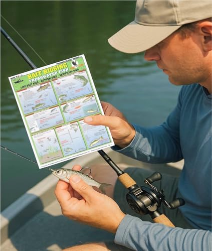 Freshwater Bait Rigging # 1 Pescadores para montaje de cebo vivo en agua dulce 4