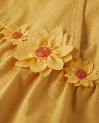 Gymboree Girls and Toddler Long Sleeve Tiered Dresses2