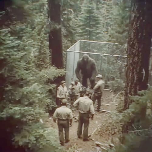 18 TRUE SCARY HUNTING HORROR STORIES