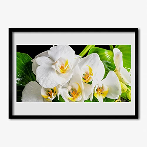 Fleurs d'orchidée affiche encadrée 70x50 cm pour habiller un mur vide sans effort