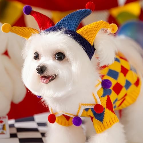 Suéteres para perros pequeños que evitan tiritar de frío en invierno 5