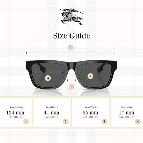 BURBERRY BE4293 Square Sunglasses For men For women +BUNDLE with ACCESSORY EYEWEAR KIT4