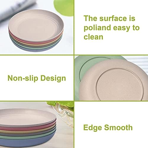 Hobein Large Dinner Plates Set of 6 Lightweight Unbreakable Plastic Multicolour 10 inch Reusable Microwave, Dishwasher & Freezer Safe for Kids, Children, Adult, Picnic, Camping & BBQ, Colourful