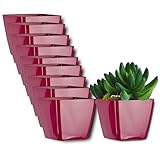 Dimensiones: cada una de estas macetas de plástico tiene las siguientes dimensiones: apertura de 8 x 8 cm y 7 cm de altura. Juego de 10 unidades.