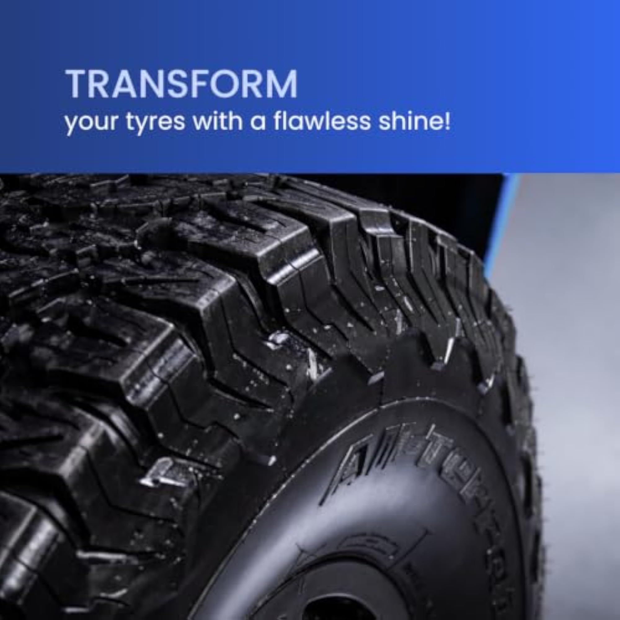 Windshield Washer Fluid & Tyre Polish Combo with Applicator Pad