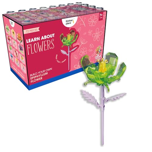 Image of STEM Epiphyllum Flower Building Blocks Set (72 Pcs, 12-in-1) | DIY Flower Pen Stand Kit for Kids 6+ Years (Boys & Girls) | Creative Craft & Learning Toy | Ideal Gift for Kids