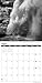 American West 2025 Wall Calendar with Images by Ansel Adams of Iconic National Parks and Monuments (12