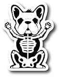 Skeleton French Bull Dog Refrigerator Magnet | UV Printed 4-Inch Kitchen Decor Accessory Featuring Stunning Design | Frenchie Chakra Creepy Gothic Goth Grunge Halloween Skull Animal Spooky CSM1530