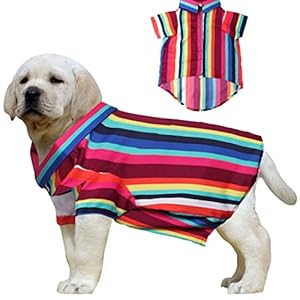 Western Era Super Soft Trendy Colorful Stripe Print Shirt – Ultra Comfort Dog Apparel for Your Fashionable Furie, Super Soft Trendy Printed Shirt for Dogs. (Colorful Stripe Print) (Small – 14inch)