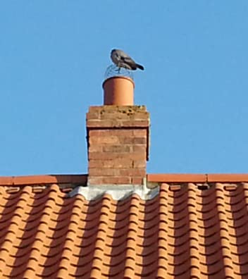 Vogelschutzgitter für Kamine klein, ballonförmig - Verzinktem Stahl - für Durchmesser 15–18 cm