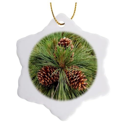 3dRose Eastern Sierra Pine and Cones, Oh-Ridge Campground, California - Ornaments (orn-258949-1)