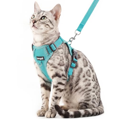 pangdi Cat Harness and Leash Escape Proof Medium Kitten Harness Bengal Cat Vest for Walking Travel, Turquoise, M
