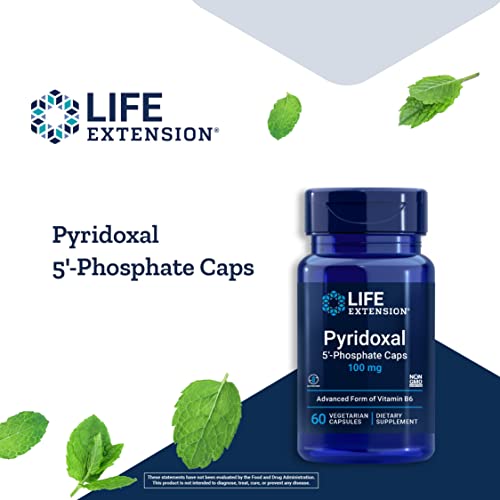 Life Extension Pyridoxal 5'-Phosphate Caps—Vitamin B6, 100 mg, Bioactive B6 for Cardiovascular, Kidney & Nerve Health—Gluten-Free, Non-GMO, Vegetarian—60 Vegetarian Capsules - image 4