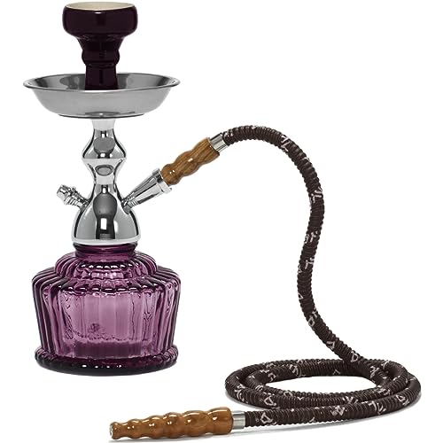 Mya QT Hookah - Portable Hookah with Cage - 14 Inch One Hose Shisha Pipe - Complete Travel Set